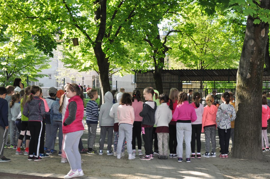 2019. Nyulkupa alsosok 100.JPG
