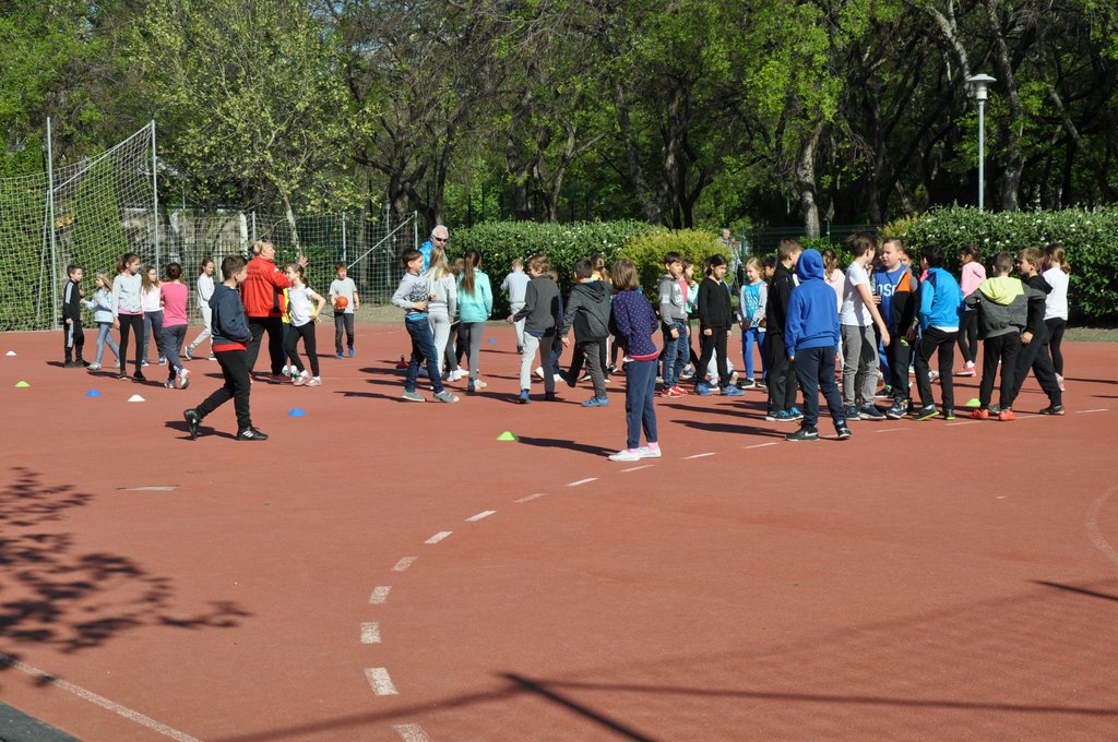 2019. Nyulkupa alsosok 113.JPG