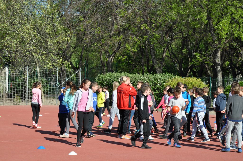 2019. Nyulkupa alsosok 118.JPG