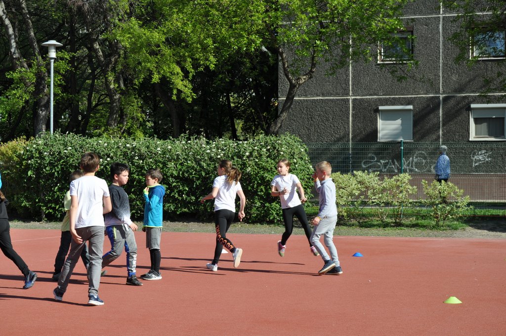 2019. Nyulkupa alsosok 119.JPG