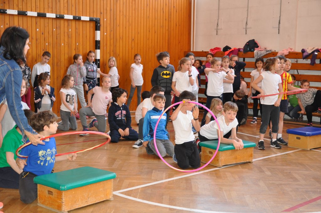 2019. Nyulkupa alsosok 146.JPG