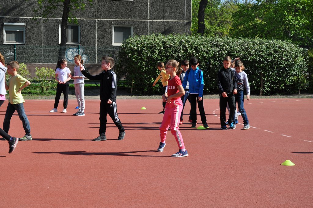 2019. Nyulkupa alsosok 168.JPG