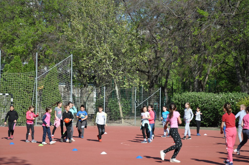 2019. Nyulkupa alsosok 174.JPG