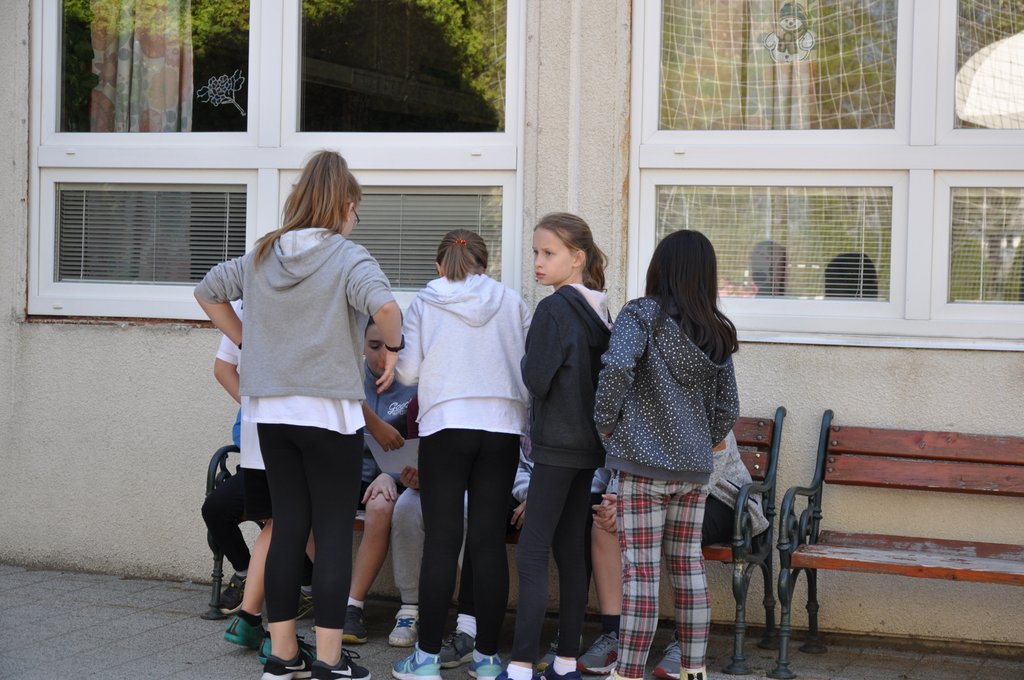 2019. Nyulkupa alsosok 177.JPG