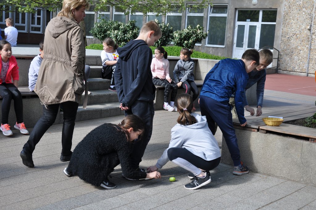 2019. Nyulkupa alsosok 186.JPG