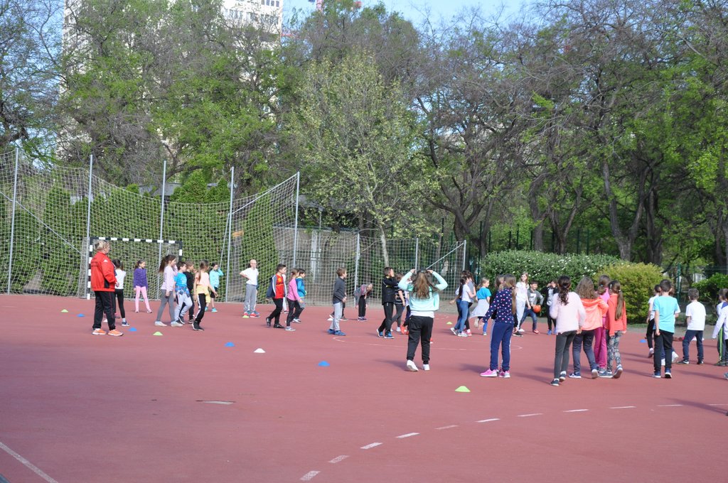 2019. Nyulkupa alsosok 188.JPG