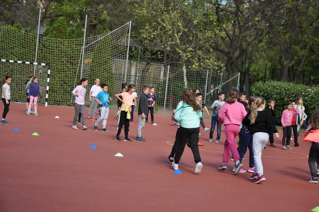 2019. Nyulkupa alsosok 193.JPG