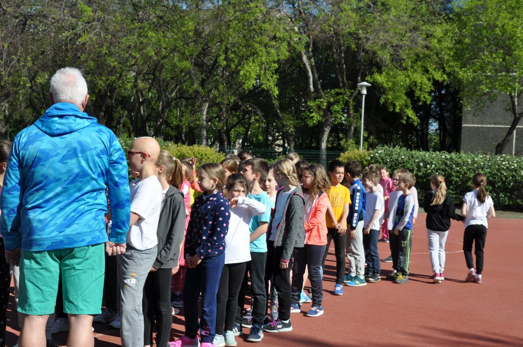 2019. Nyulkupa alsosok 213.JPG