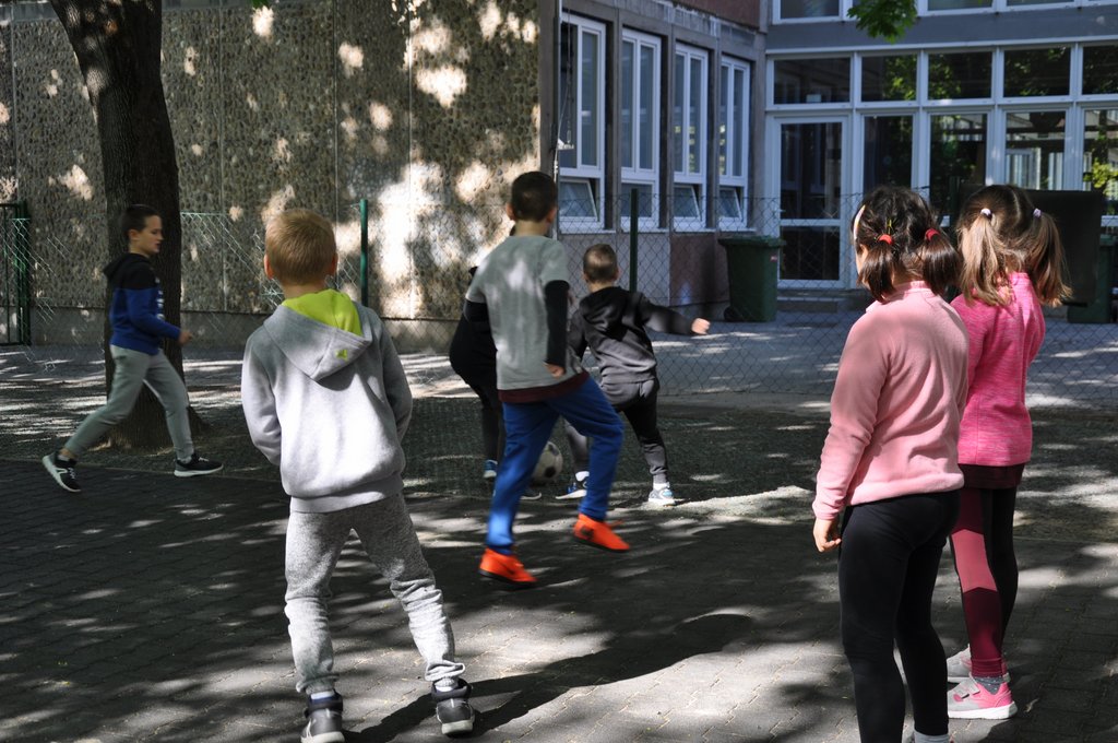 2019. Nyulkupa alsosok 220.JPG