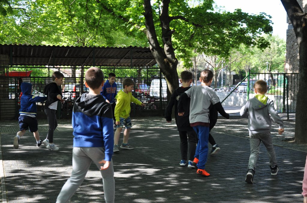 2019. Nyulkupa alsosok 223.JPG