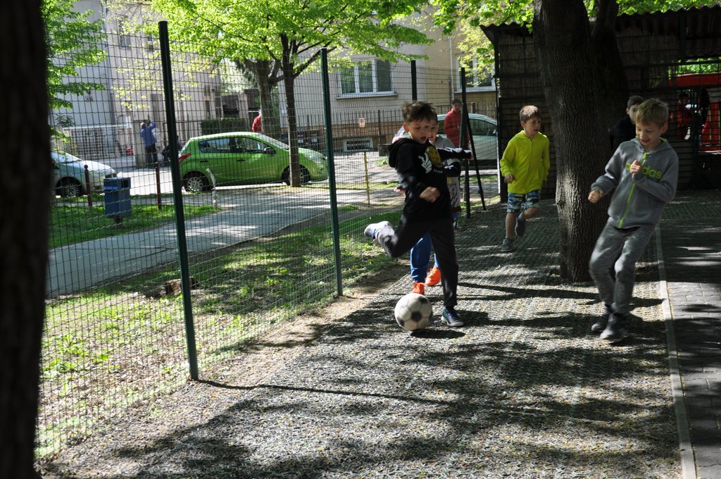 2019. Nyulkupa alsosok 224.JPG