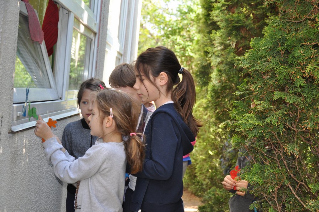 2019. Nyulkupa alsosok 228.JPG