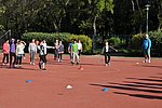 2019. Nyulkupa alsosok 041.JPG