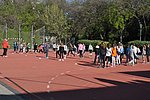 2019. Nyulkupa alsosok 052.JPG