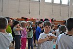 2019. Nyulkupa alsosok 074.JPG