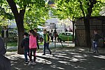 2019. Nyulkupa alsosok 096.JPG