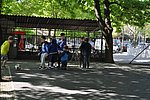 2019. Nyulkupa alsosok 216.JPG
