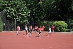 2019. Sportnap alsoban  67.JPG