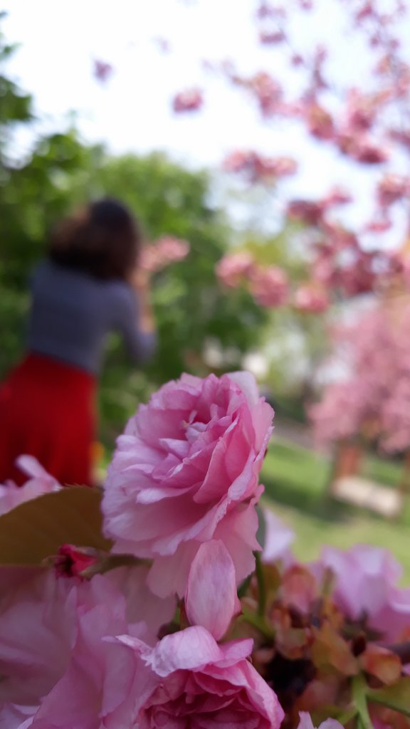 2019. Eden fotok 6.b  003.jpg