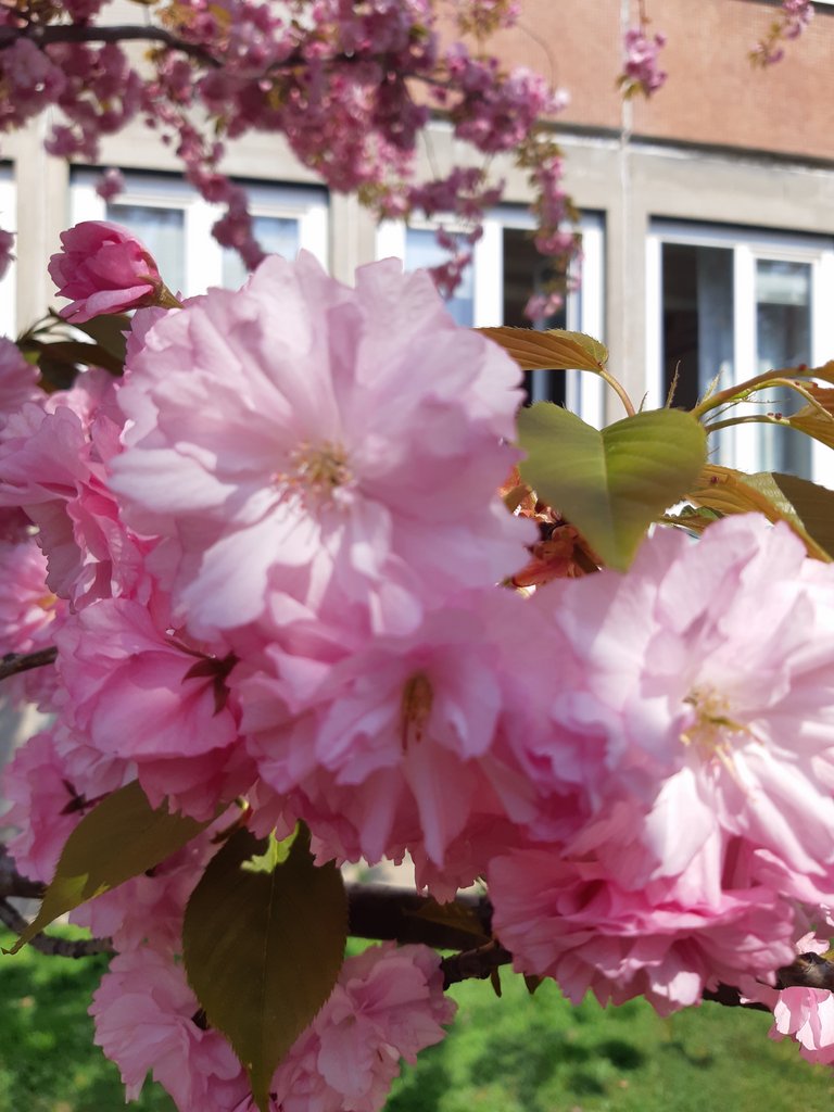 2019. Eden fotok 6.b  004.jpg