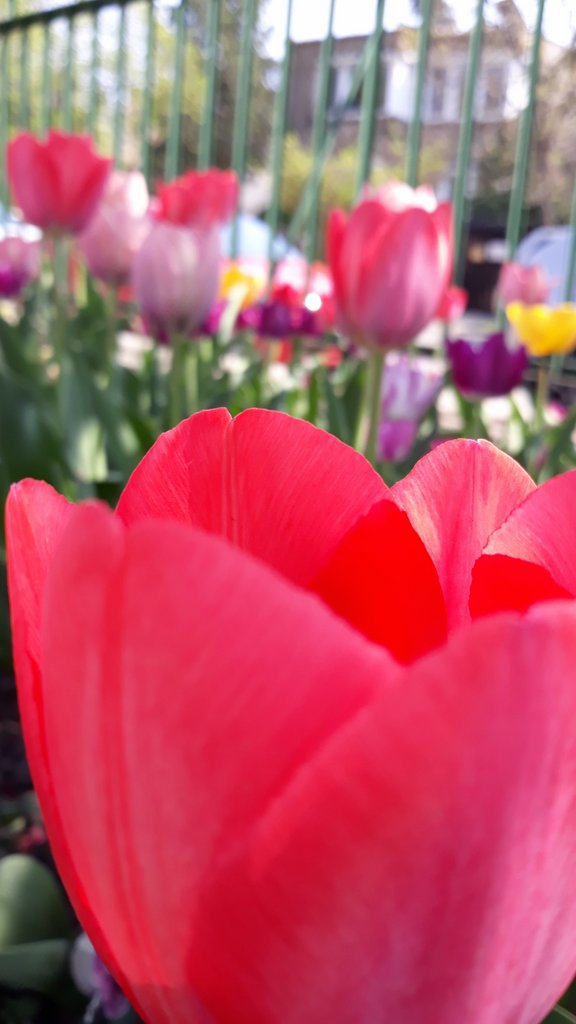 2019. Eden fotok 6.b  006.jpg