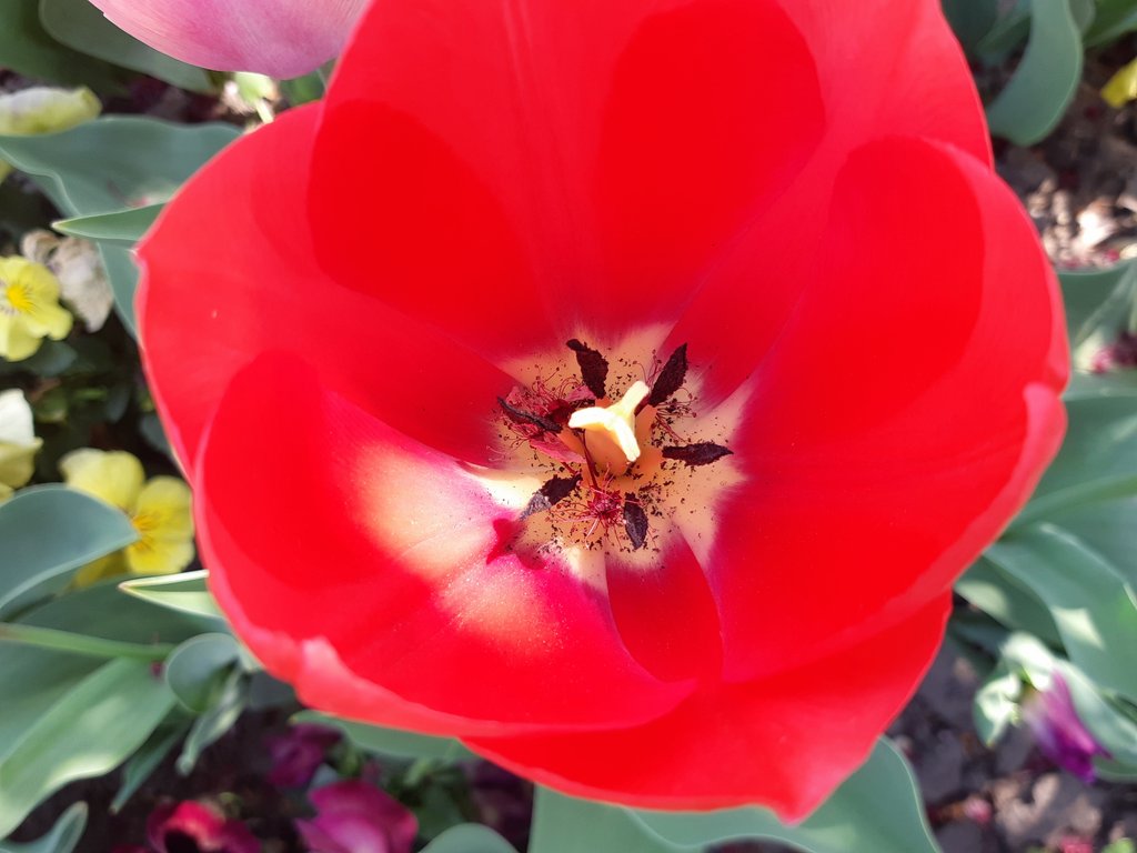 2019. Eden fotok 6.b  007.jpg