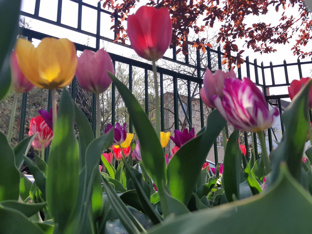 2019. Eden fotok 6.b  010.jpg