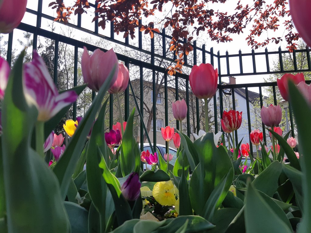 2019. Eden fotok 6.b  011.jpg