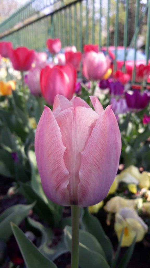 2019. Eden fotok 6.b  012.jpg
