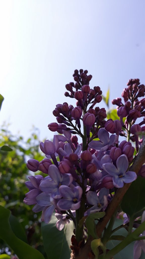 2019. Eden fotok 6.b  018.jpg