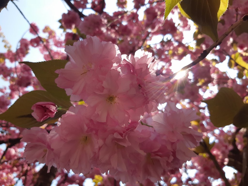 2019. Eden fotok 6.b  021.jpg