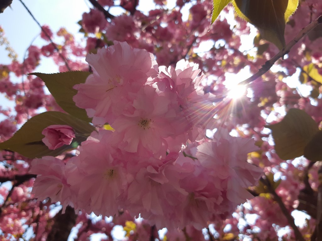 2019. Eden fotok 6.b  022.jpg