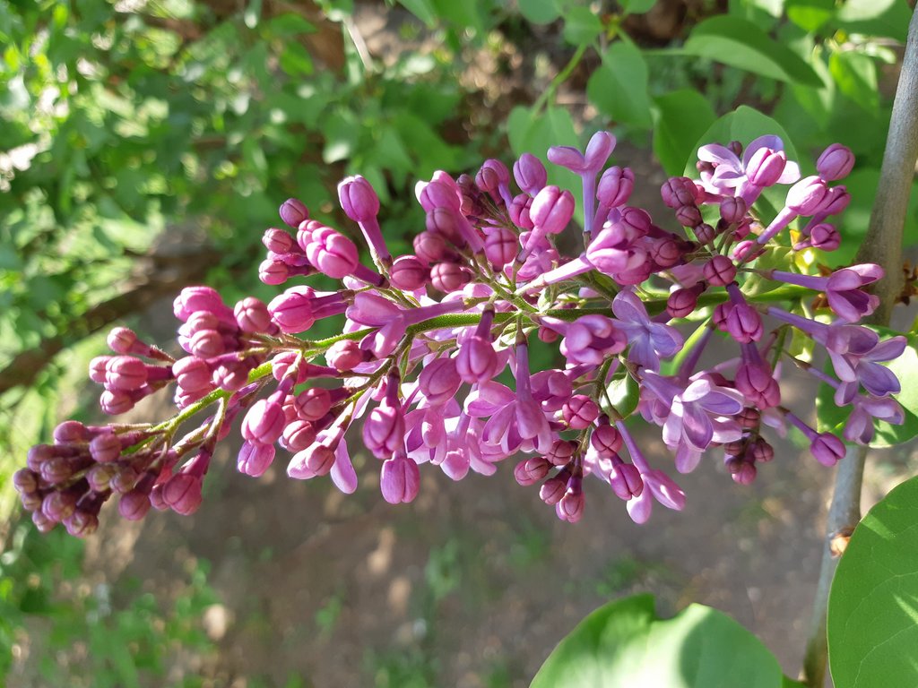 2019. Eden fotok 6.b  025.jpg