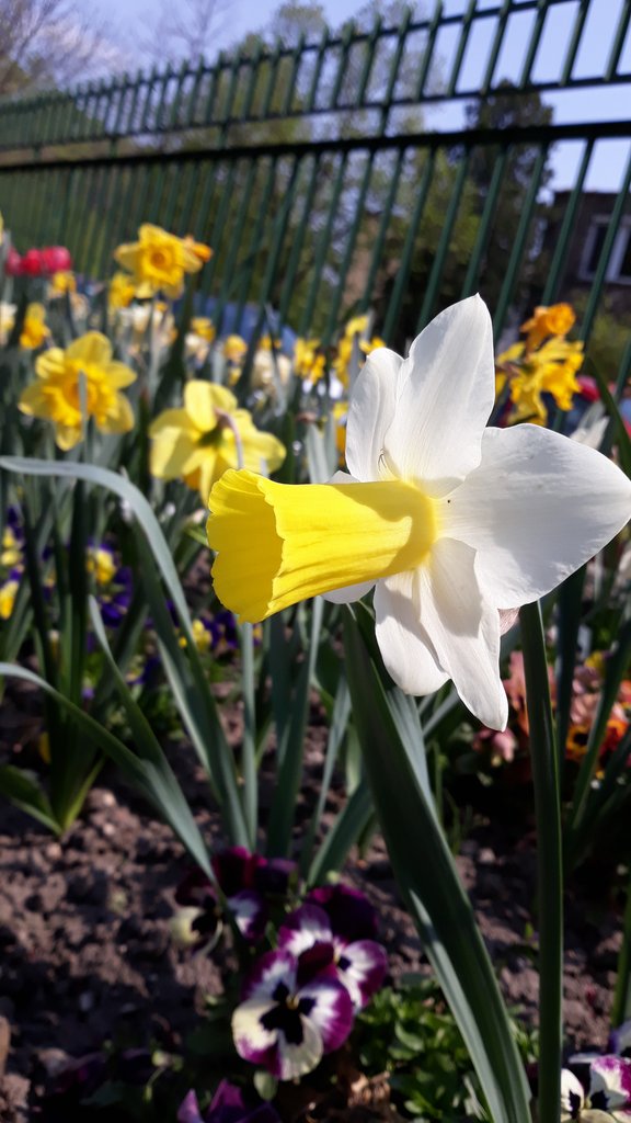 2019. Eden fotok 6.b  026.jpg