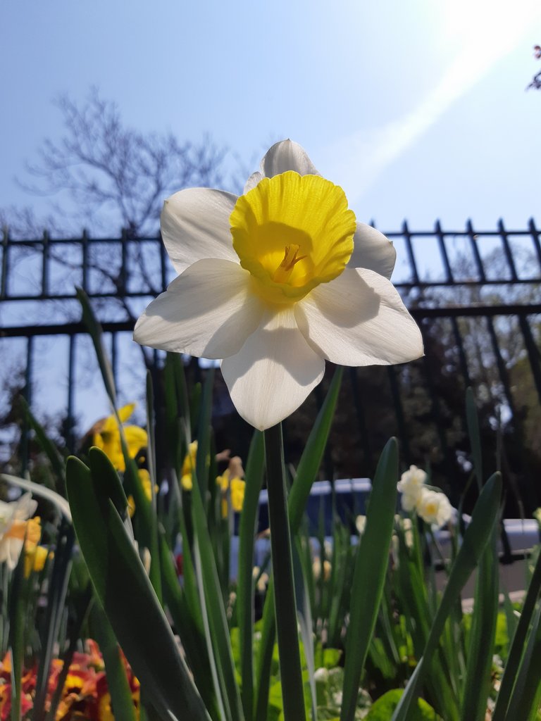 2019. Eden fotok 6.b  028.jpg