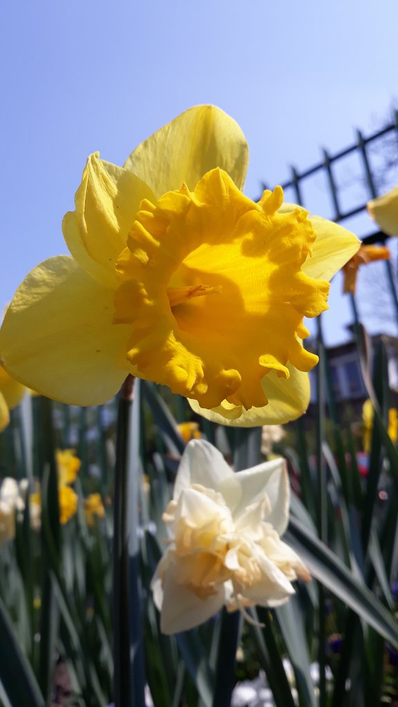 2019. Eden fotok 6.b  030.jpg