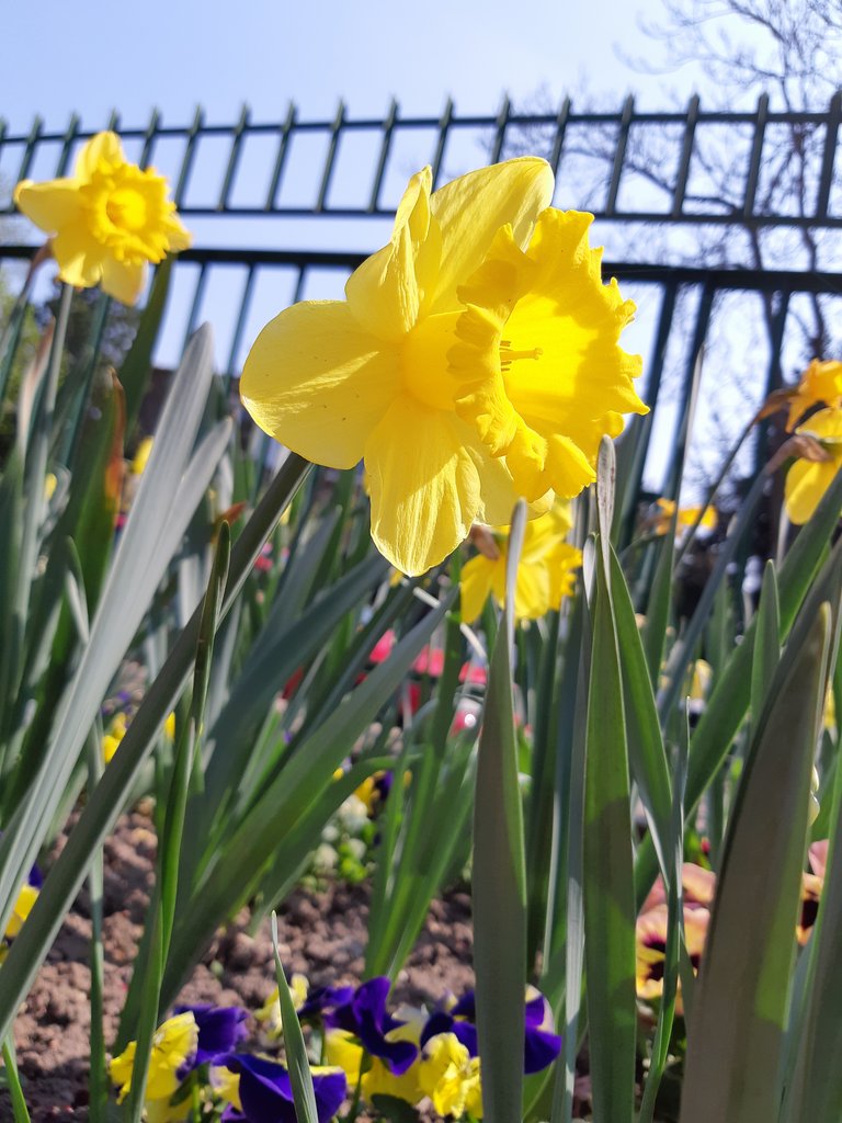 2019. Eden fotok 6.b  032.jpg