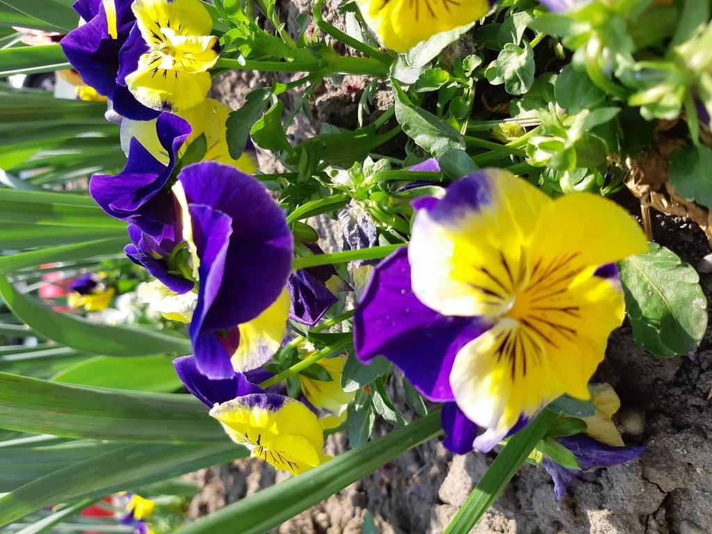 2019. Eden fotok 6.b  033.jpg