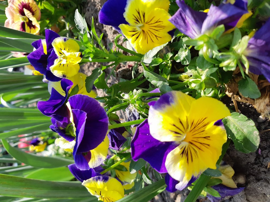 2019. Eden fotok 6.b  034.jpg