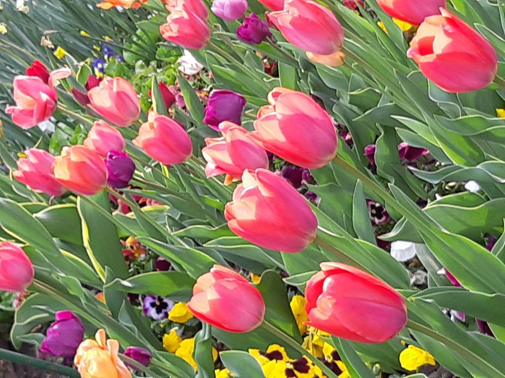 2019. Eden fotok 6.b  038.jpg