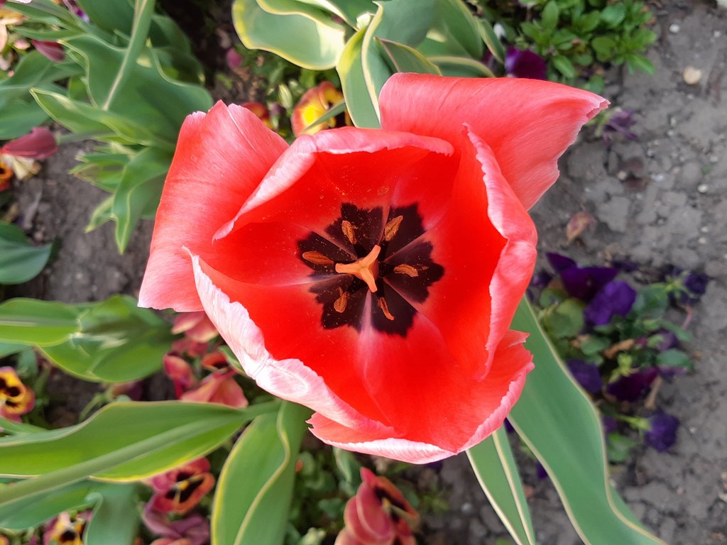 2019. Eden fotok 6.b  043.jpg