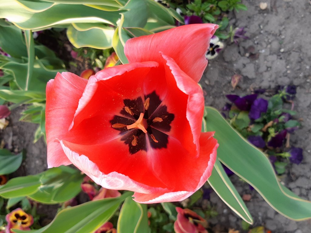 2019. Eden fotok 6.b  044.jpg