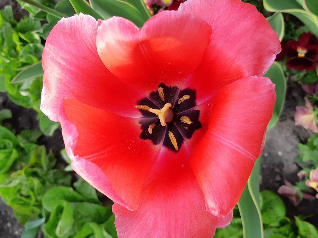 2019. Eden fotok 6.b  047.jpg