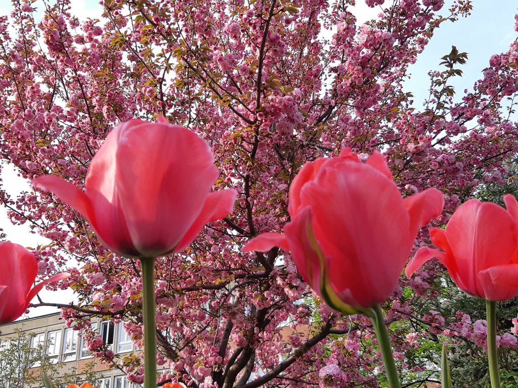 2019. Eden fotok 6.b  052.jpg