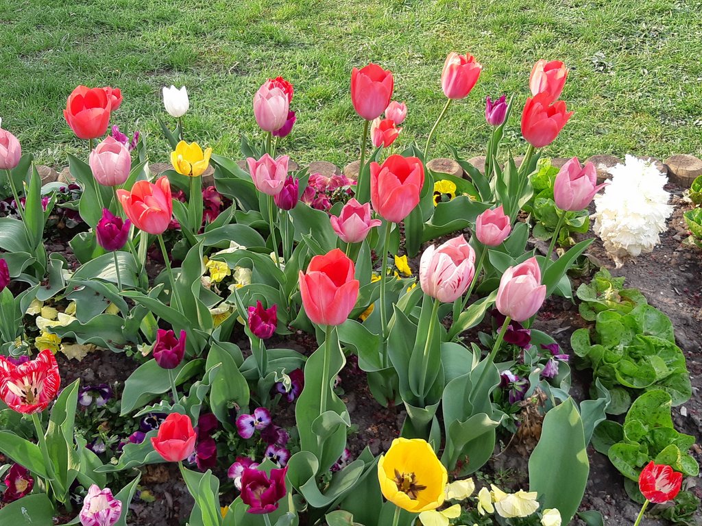 2019. Eden fotok 6.b  053.jpg