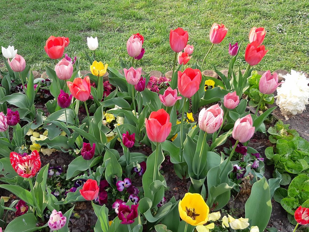 2019. Eden fotok 6.b  054.jpg