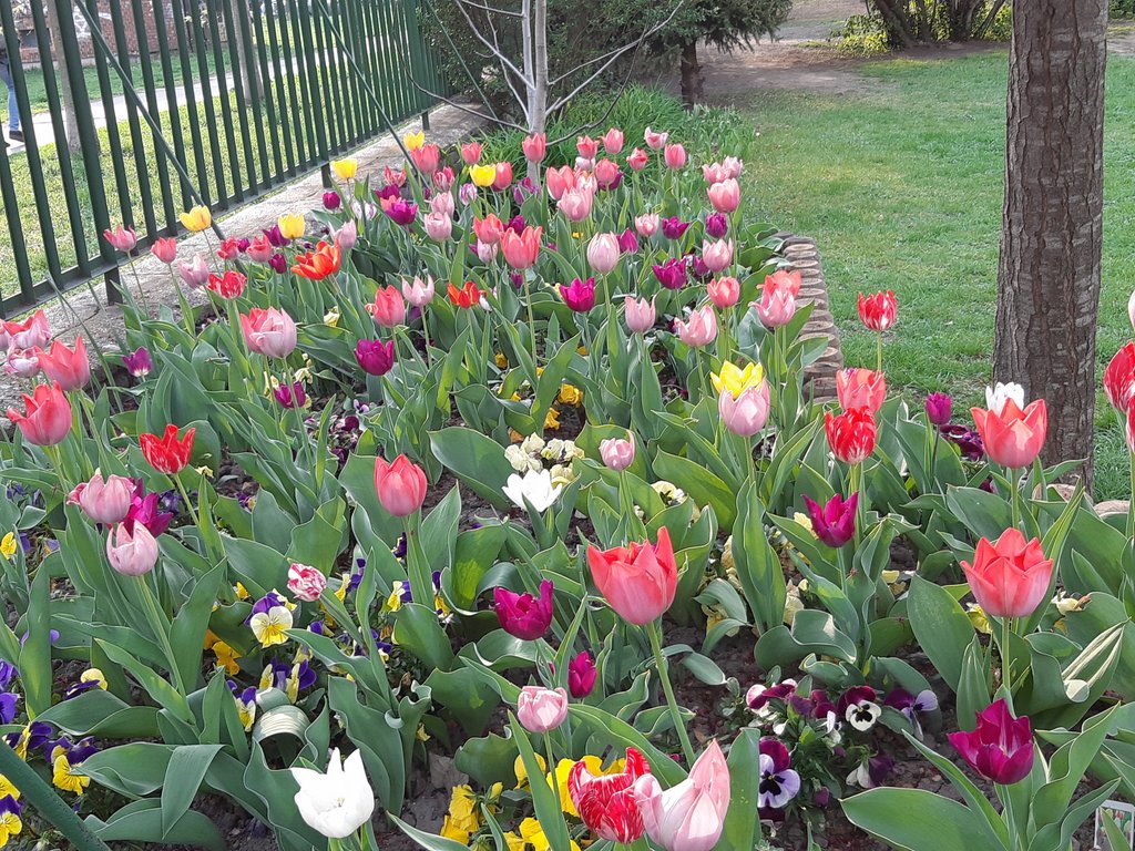 2019. Eden fotok 6.b  056.jpg