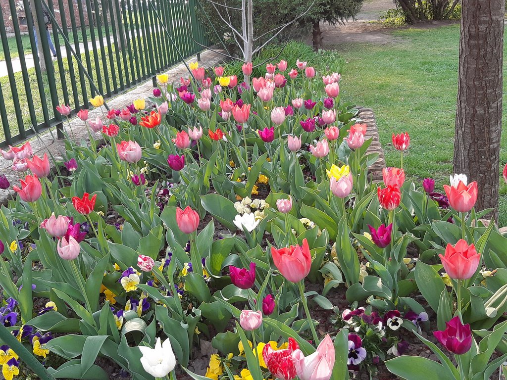 2019. Eden fotok 6.b  057.jpg