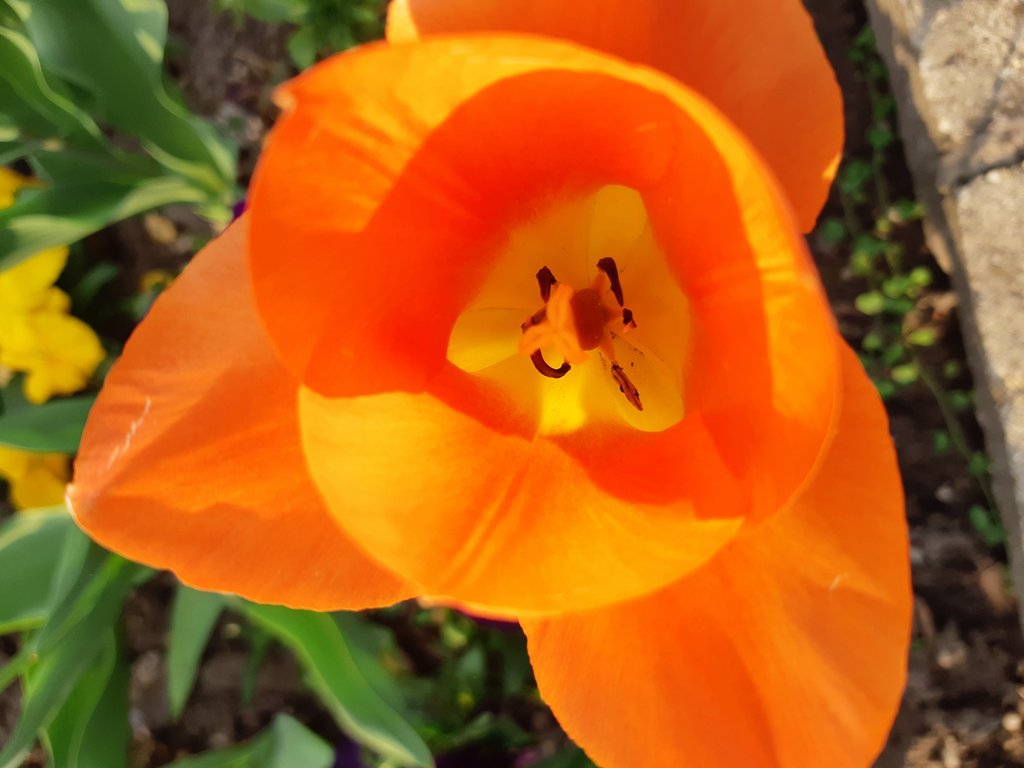 2019. Eden fotok 6.b  058.jpg