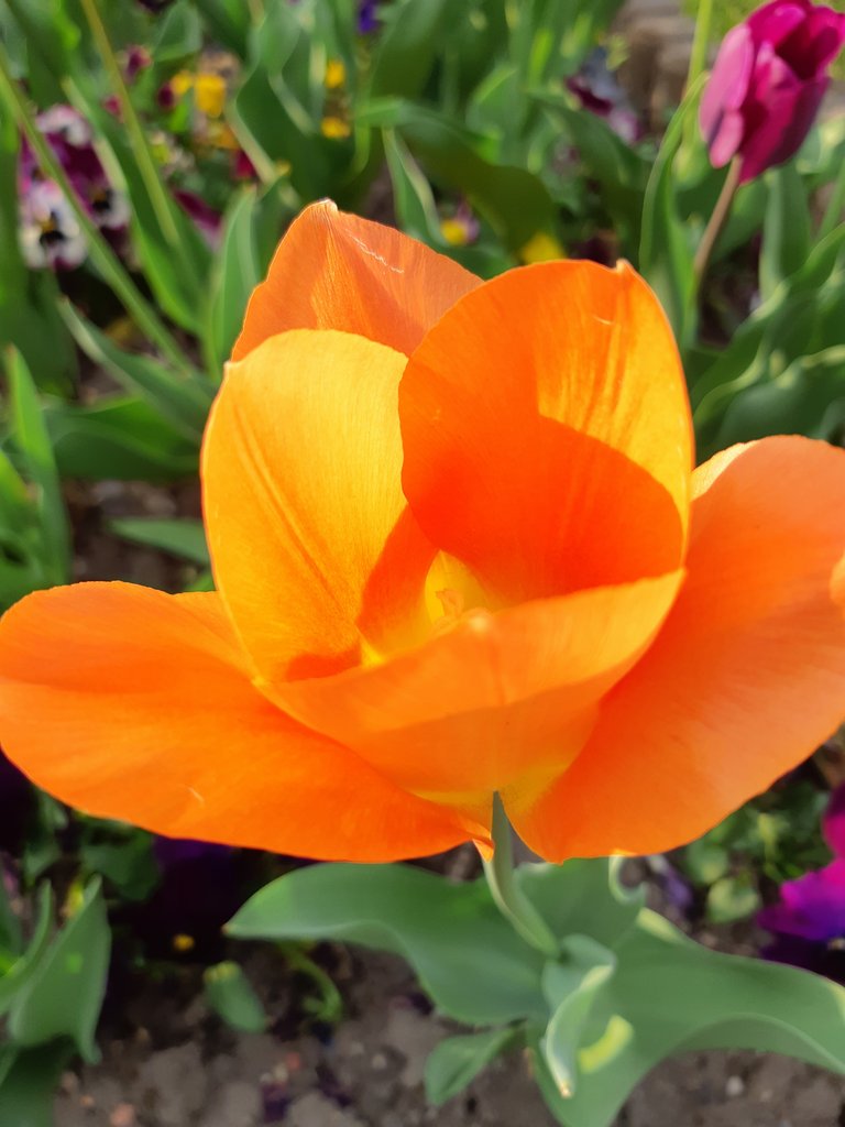 2019. Eden fotok 6.b  059.jpg